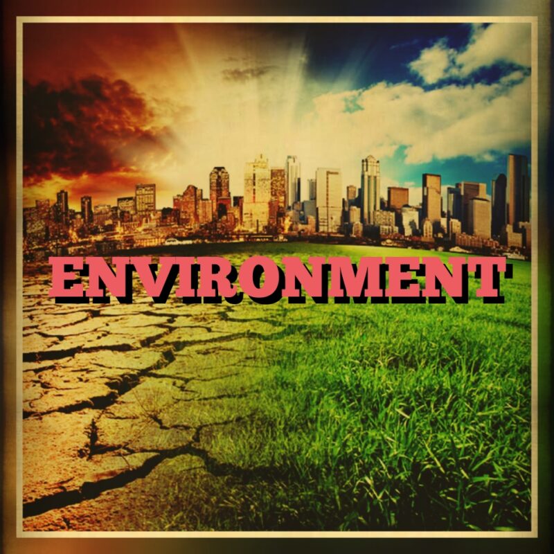 The environment and climate change is one of the biggest issues of our generation